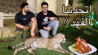 شاب السعودي يكسب التحدي على الفهد