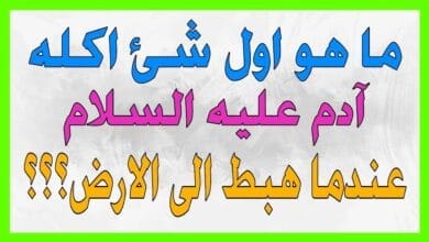 اسئلة و الغاز صعبة جدا ماهو اول شئ اكله